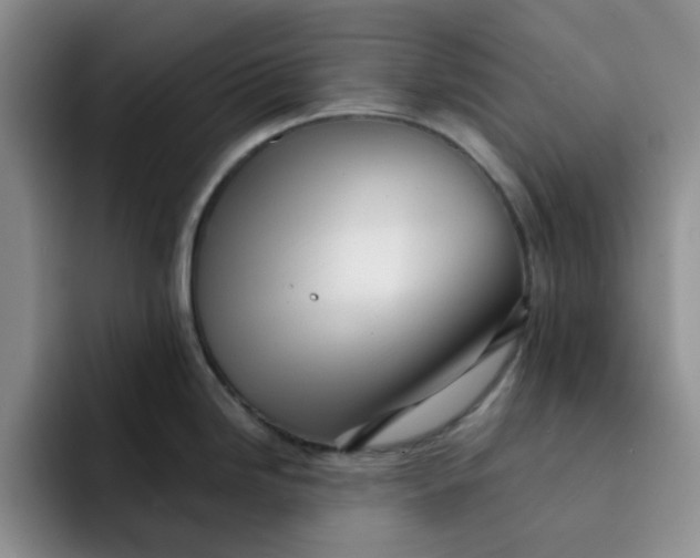 X0000091721246200709141159