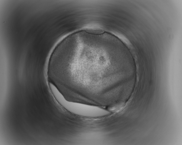 X0000091721248200709141159