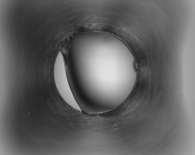 X0000091721250200709141158