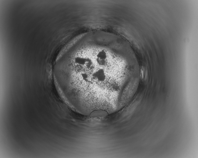 X0000091721251200709141158