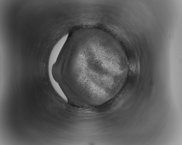 X0000091721252200709141158