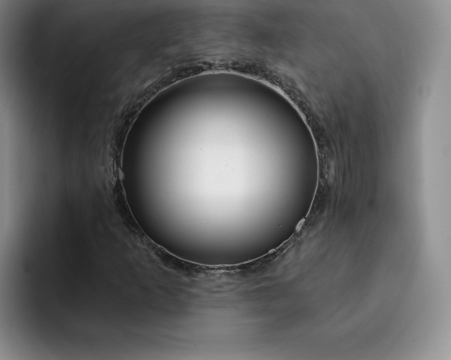 X0000091721253200709141158