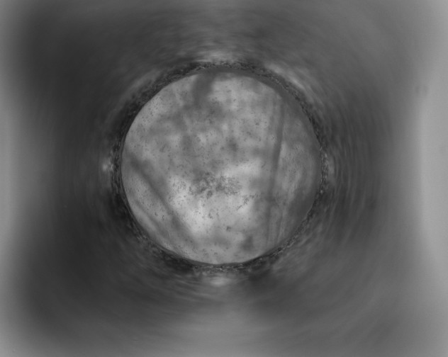 X0000091721254200709141158