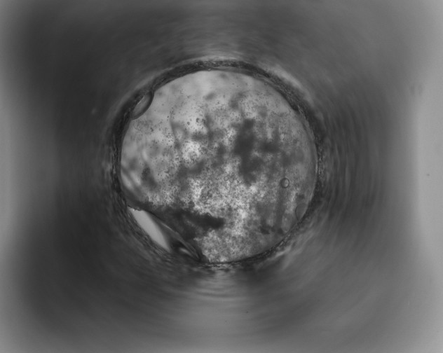 X0000091721255200709141158