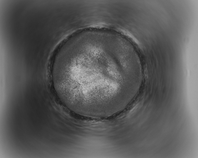 X0000091721256200709141158