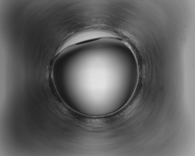 X0000091721257200709141158