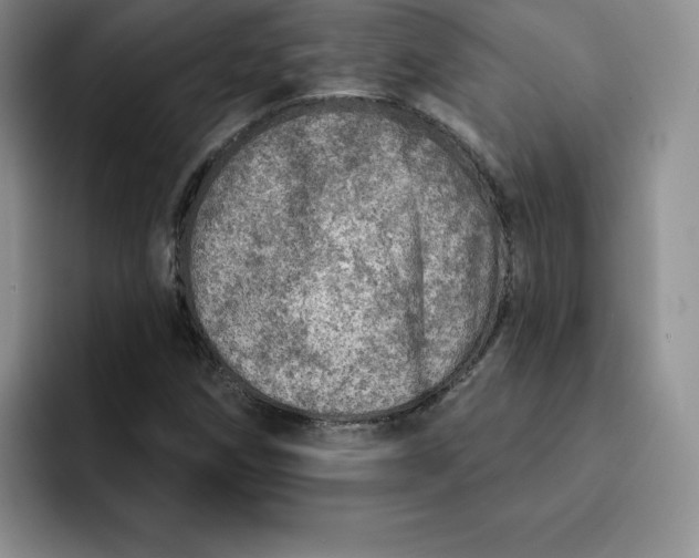 X0000091721258200709141158