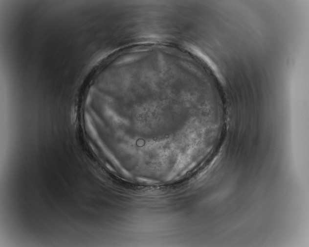 X0000091721259200709141158