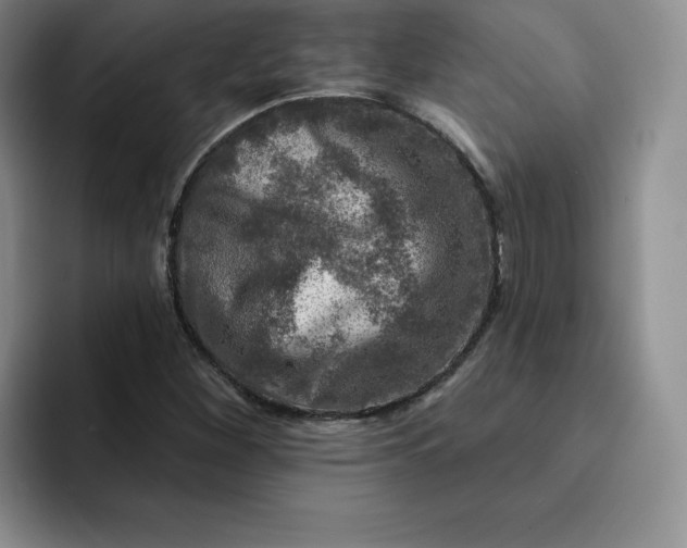 X0000091721260200709141158