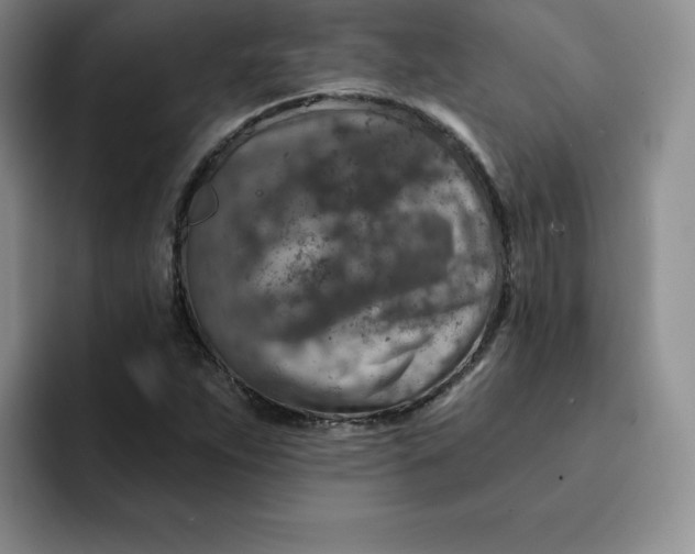 X0000091721263200709141158