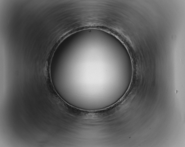 X0000091721265200709141158