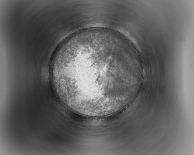 X0000091721266200709141158