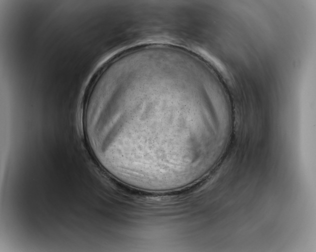 X0000091721272200709141158