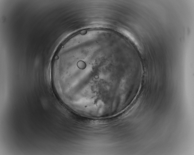 X0000091721275200709141158