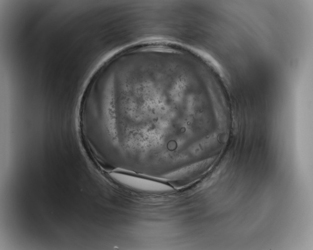 X0000091721279200709141158