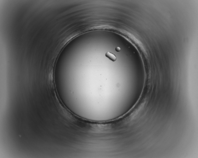 X0000091721281200709141158