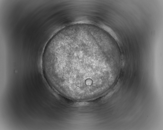 X0000091721282200709141158