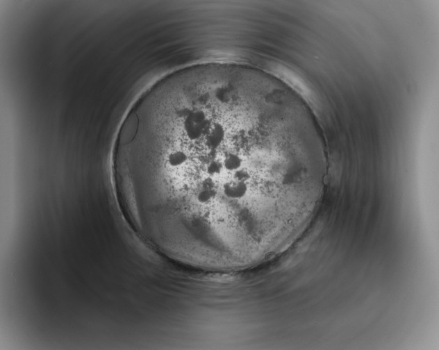 X0000091721283200709141158