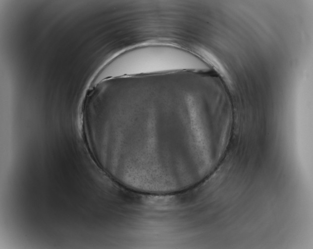 X0000091721284200709141158