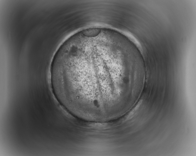 X0000091721287200709141158