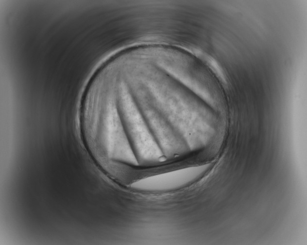 X0000091721288200709141158