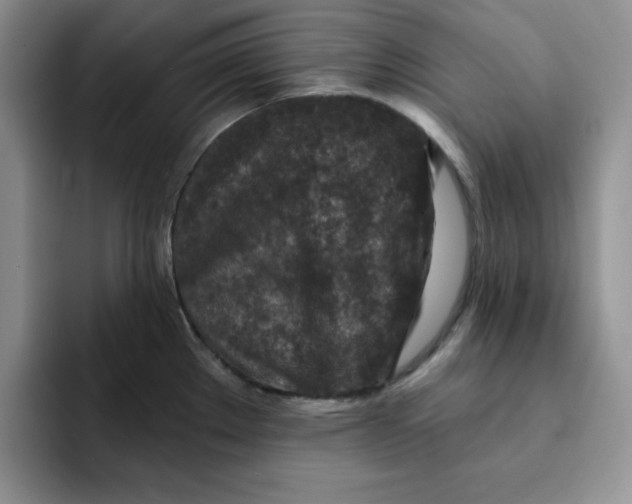 X0000091721289200709141158