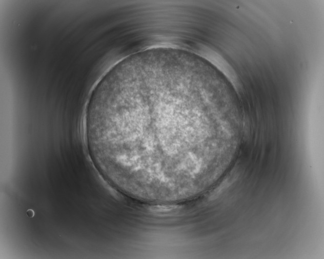 X0000091721290200709141158