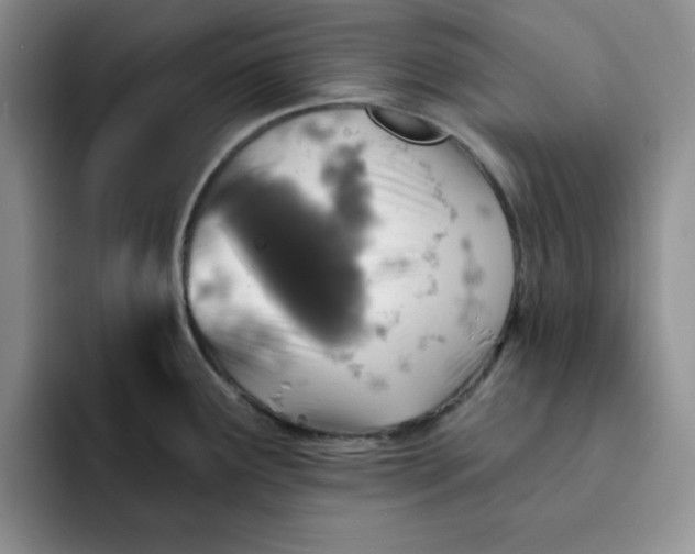 X0000091721291200709141158