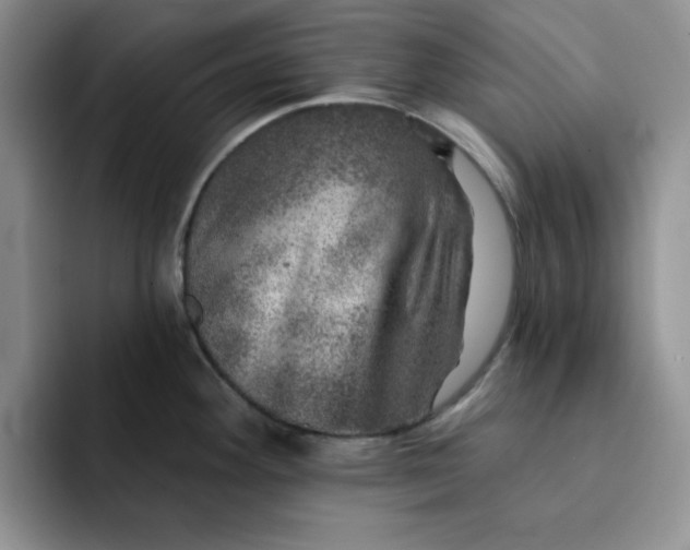 X0000091721292200709141158