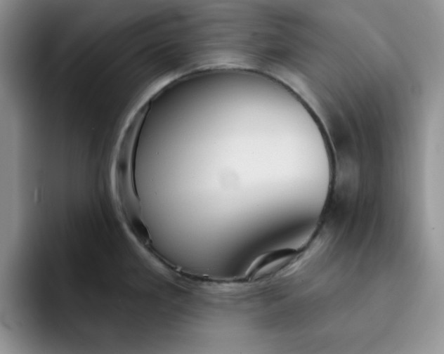 X0000091721293200709141158