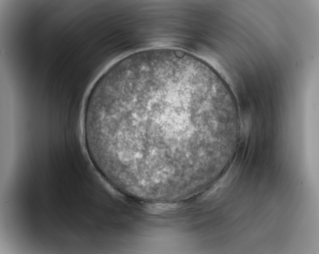 X0000091721294200709141158