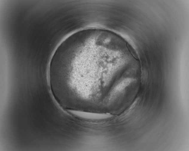 X0000091721295200709141158