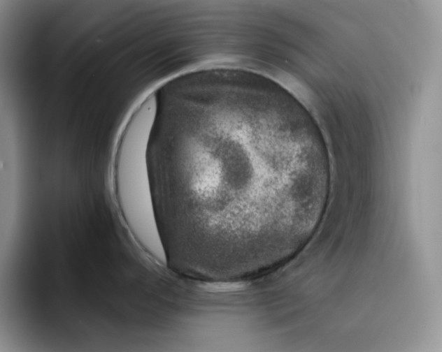 X0000091721296200709141158