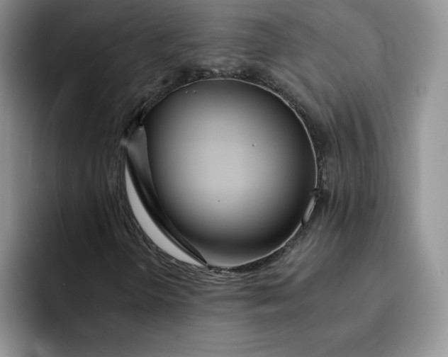 X0000091721298200709141157