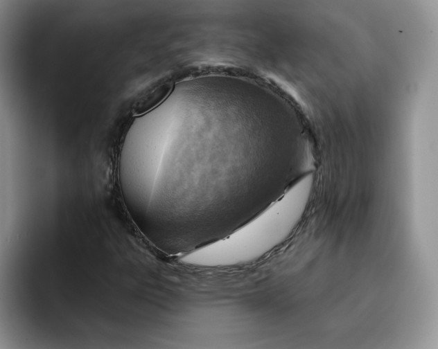 X0000091721303200709141157