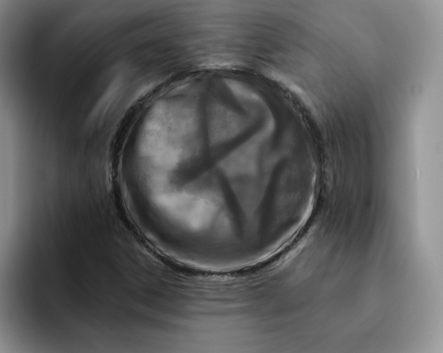 X0000091721306200709141157