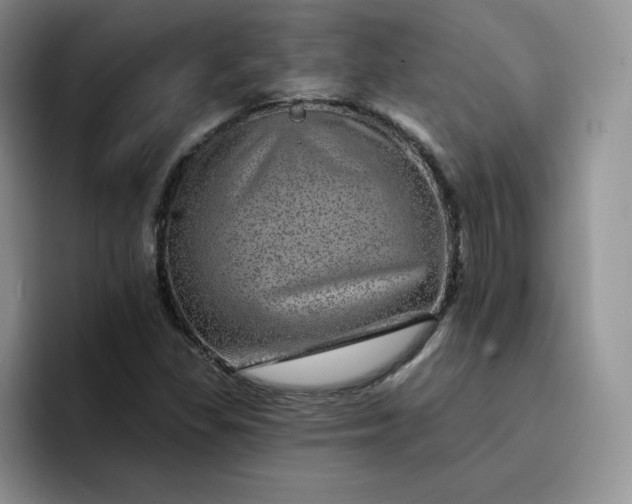 X0000091721309200709141157