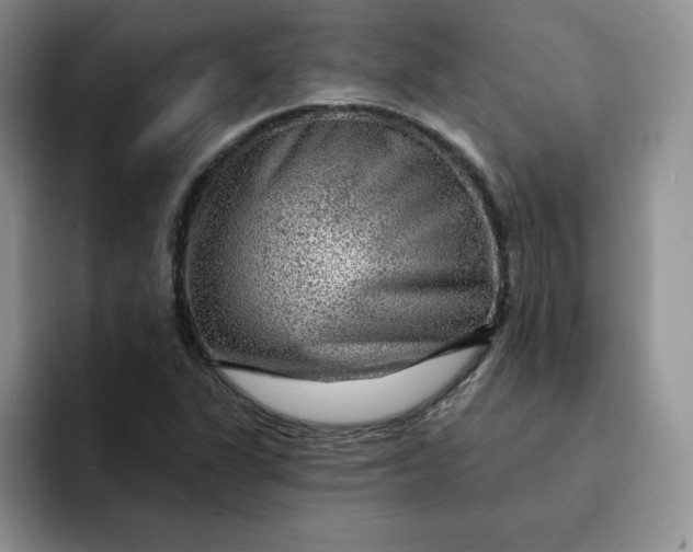 X0000091721311200709141157