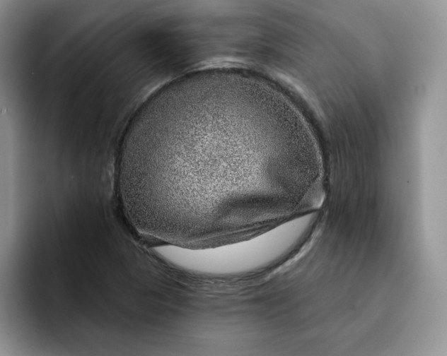 X0000091721313200709141157