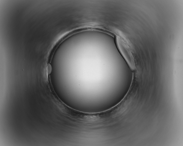 X0000091721320200709141157