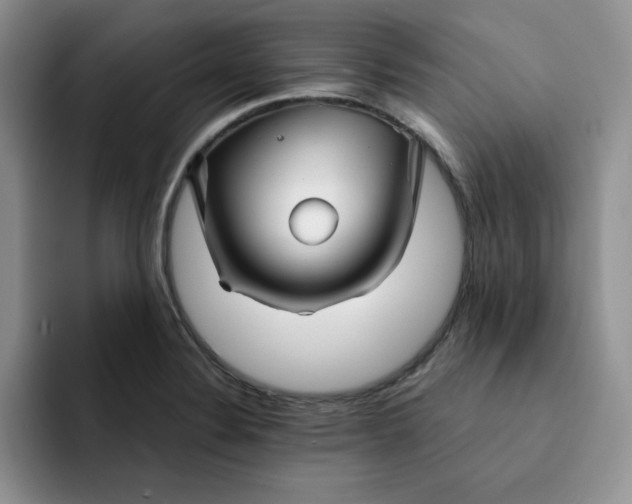 X0000091721324200709141157