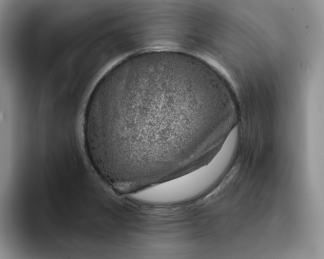 X0000091721325200709141157