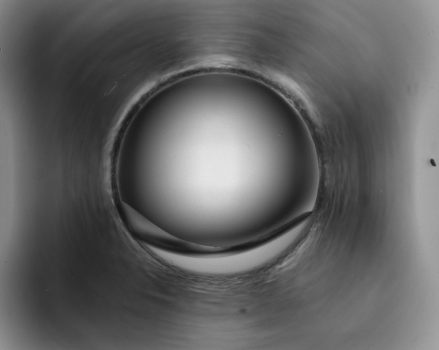 X0000091721326200709141157