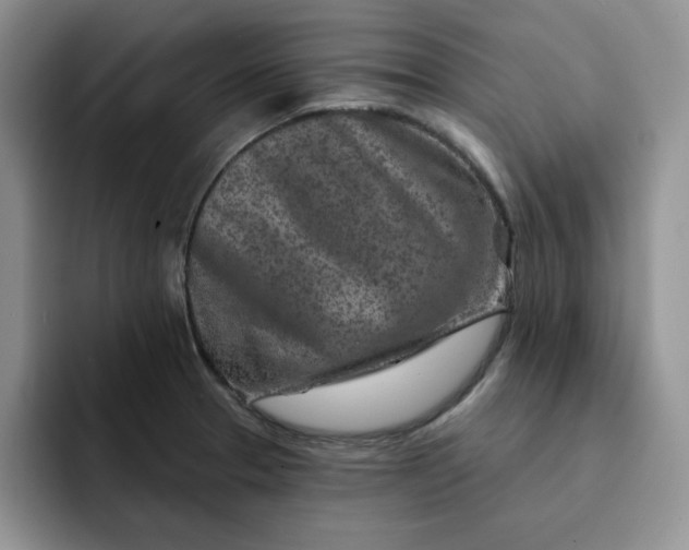 X0000091721329200709141158