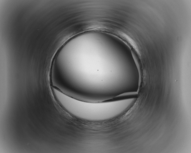 X0000091721330200709141158