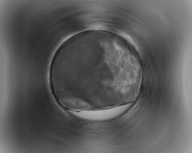 X0000091721331200709141158