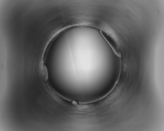 X0000091721332200709141158