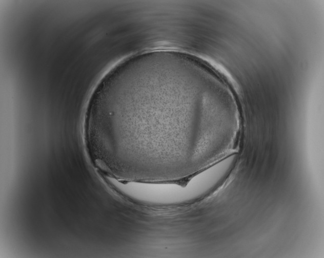 X0000091721333200709141158