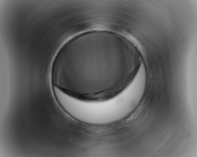 X0000091721334200709141158