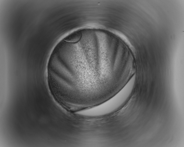 X0000091721335200709141158